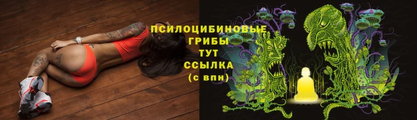 прущие грибы Покачи
