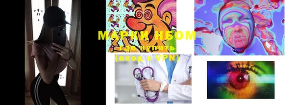 прущие грибы Покачи