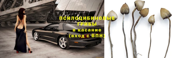 прущие грибы Покачи