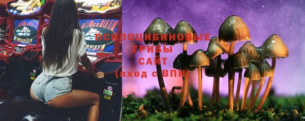 прущие грибы Покачи