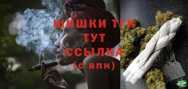 прущие грибы Покачи