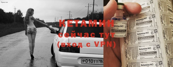 дживик Пересвет
