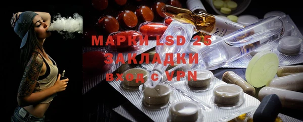 прущие грибы Покачи