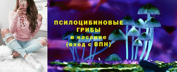 прущие грибы Покачи