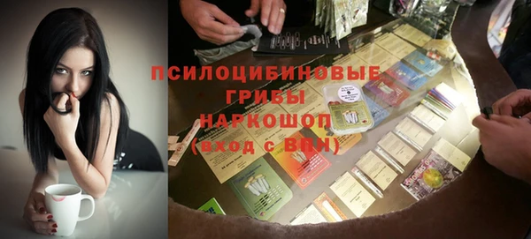 стафф Покровск