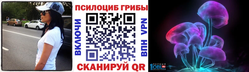 Псилоцибиновые грибы Psilocybine cubensis  наркошоп  Ипатово 