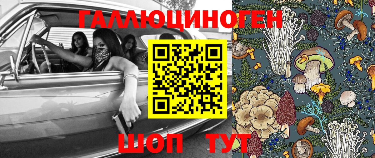 Галлюциногенные грибы GOLDEN TEACHER Ипатово