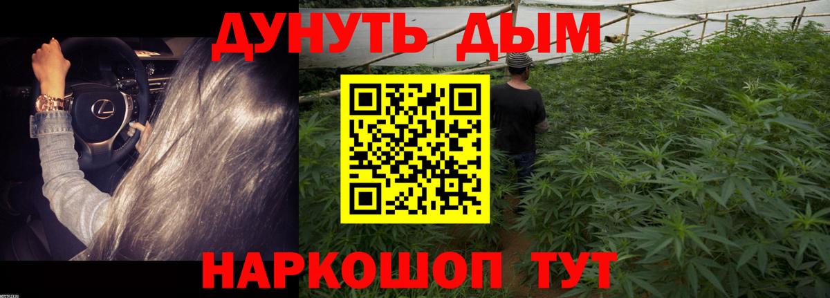 Канабис сатива  Конопля MAZAR  МАРИХУАНА индика  Конопля Bruce Banner  Ипатово 